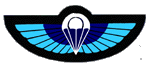 Operational SAS Wings